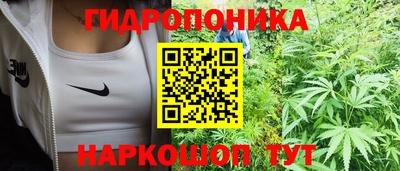 гашиш Гусиноозёрск