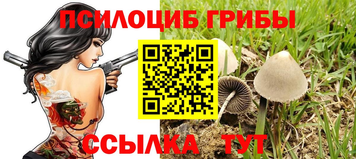 Псилоцибиновые грибы Cubensis  Вход с VPN  Михайловка  Галлюциногенные грибы ЛСД 