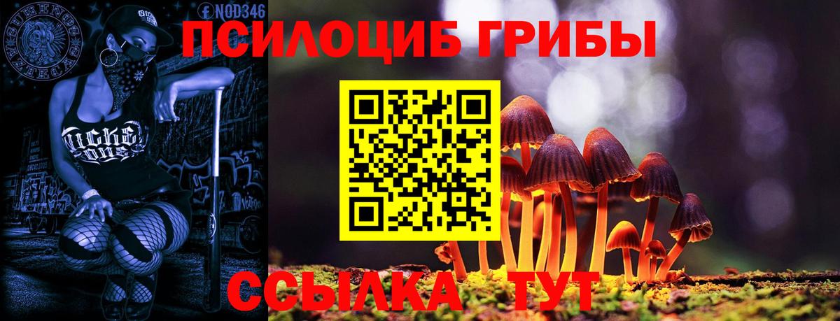 Галлюциногенные грибы прущие грибы Михайловка